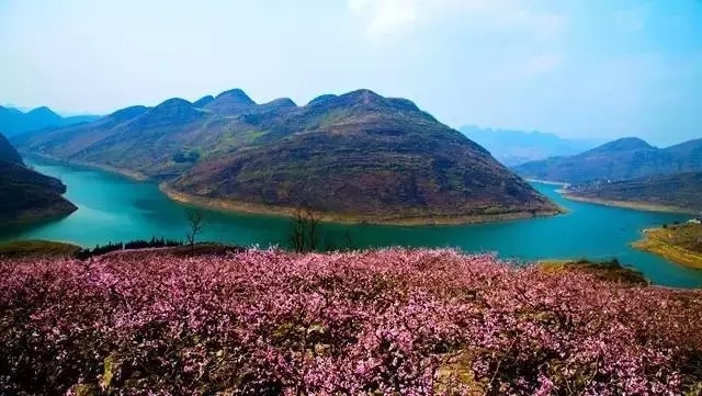 清明假期出行指南,清明节假期出行提示