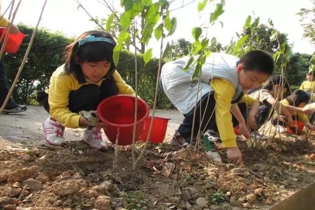 清明假期出行指南,清明节假期出行提示