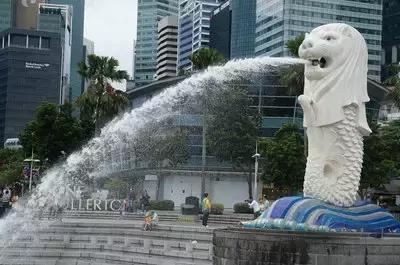 新加坡买小ck,香港小ck品牌