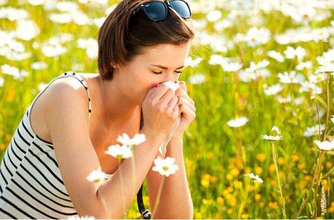 4月踏青赏花,4月赏花