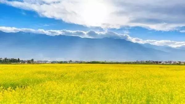 美爆了春天好去处,天津春天赏花的地方有哪些推荐