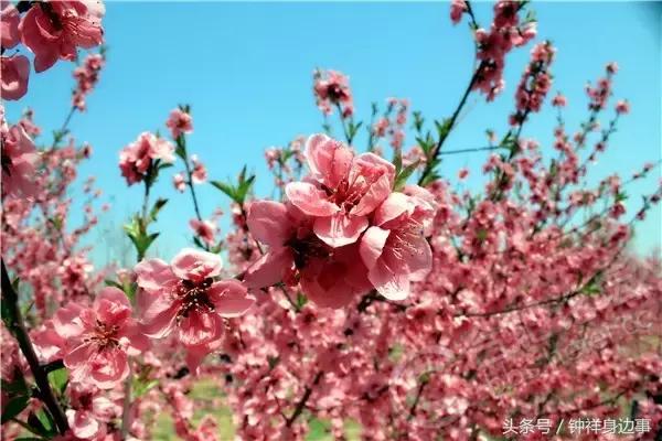 一封辞职信火遍长春,又一封辞职信刷爆朋友圈
