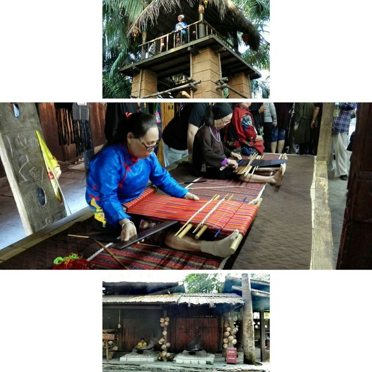 海南之旅感悟,海南行的点滴回忆