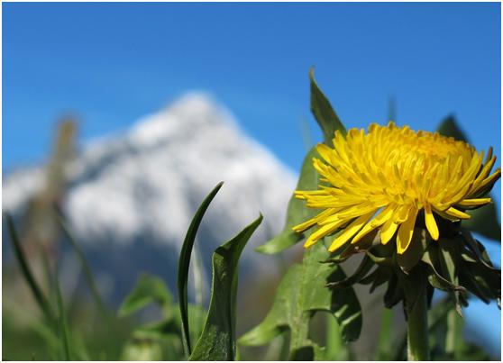 十大最吓人的祭祀,世界上有哪些恐怖的祭祀