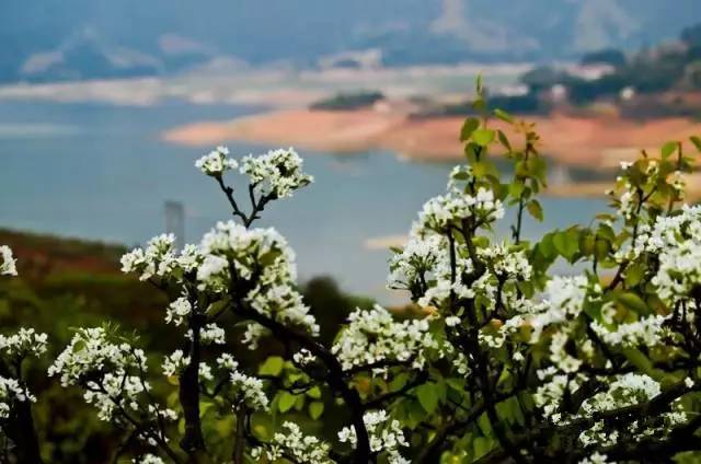 太壮观!清远这个群山萦绕的天湖惊现百米大瀑布,你竟然不知道?