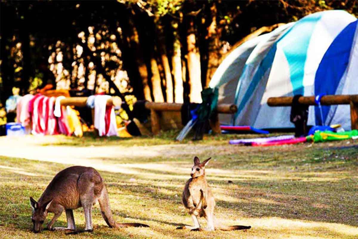 camping婢虫床,鍘绘境娲瞔amping