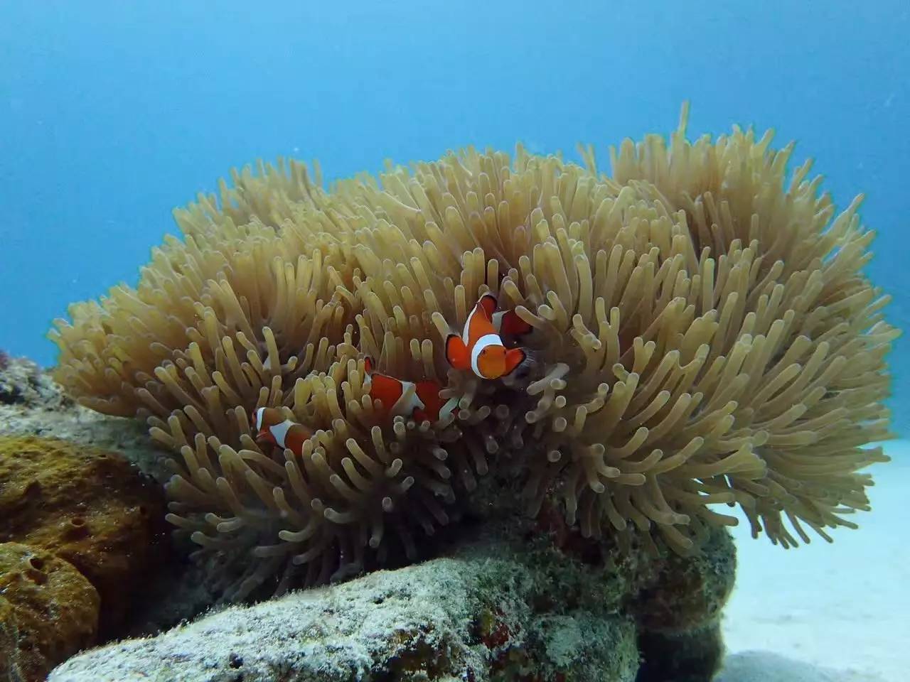 weekendescape什么意思,weekendescape