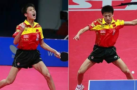 王励勤生涯,王励勤的生涯