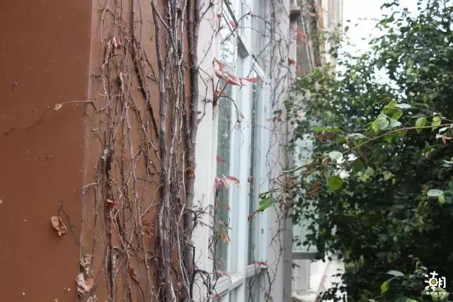 一日深职人，终身深职人