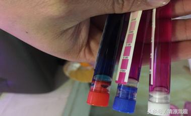 家居鱼缸养鱼,家居养鱼养什么样的鱼