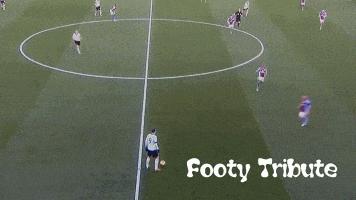 停球技术最好的球员,停球最好的人