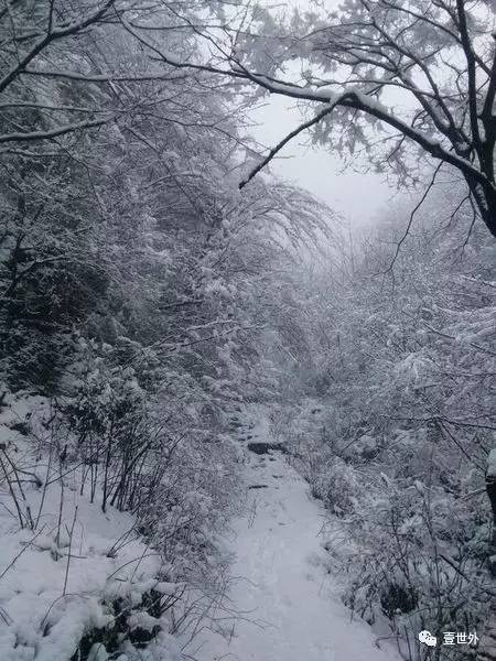 揭秘终南山隐士纪录片,探访终南山隐居的真实的生活