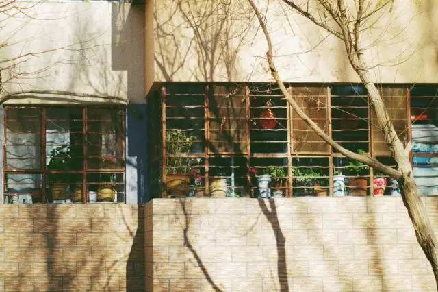 这样的“在路上”，我再也不渴望了