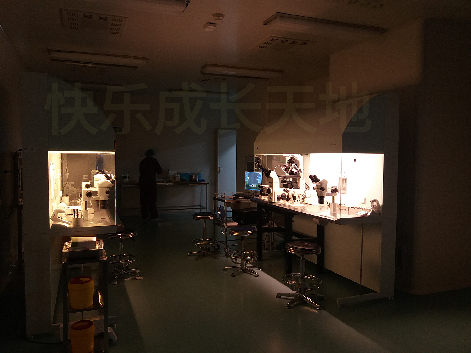 单身女性冻卵事件,年轻女性冻卵