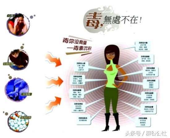 别让你的身体先于你老去，该辟谷时就辟谷