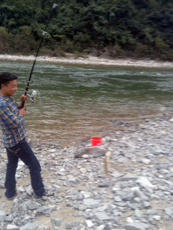 钓鱼的小虫子，有鱼必上钩，被誉为“动物人参”