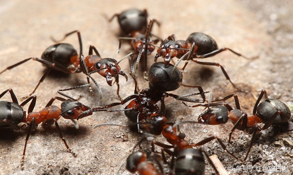 善良小伙帮了人救了自己一命,善良小伙帮老人救自己一命下集