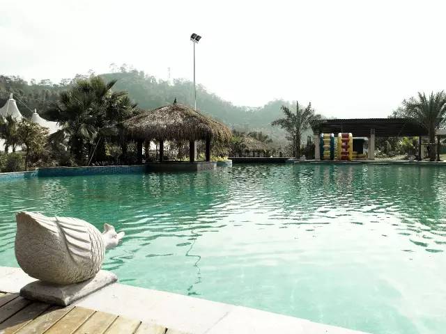 不用去罗平也可以看油菜花,不用去日本也能看的樱花海