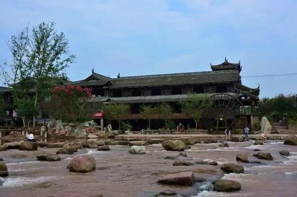 成都附近一小时氧吧,成都周边森林免费氧吧推荐