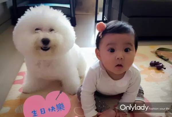 私人飞机？名牌包包？明星合影？这些宠物竟然这么大牌！