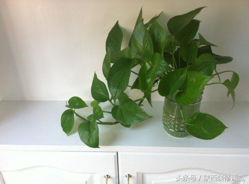 100平空中复式花园,150平空中花园轻奢精装修