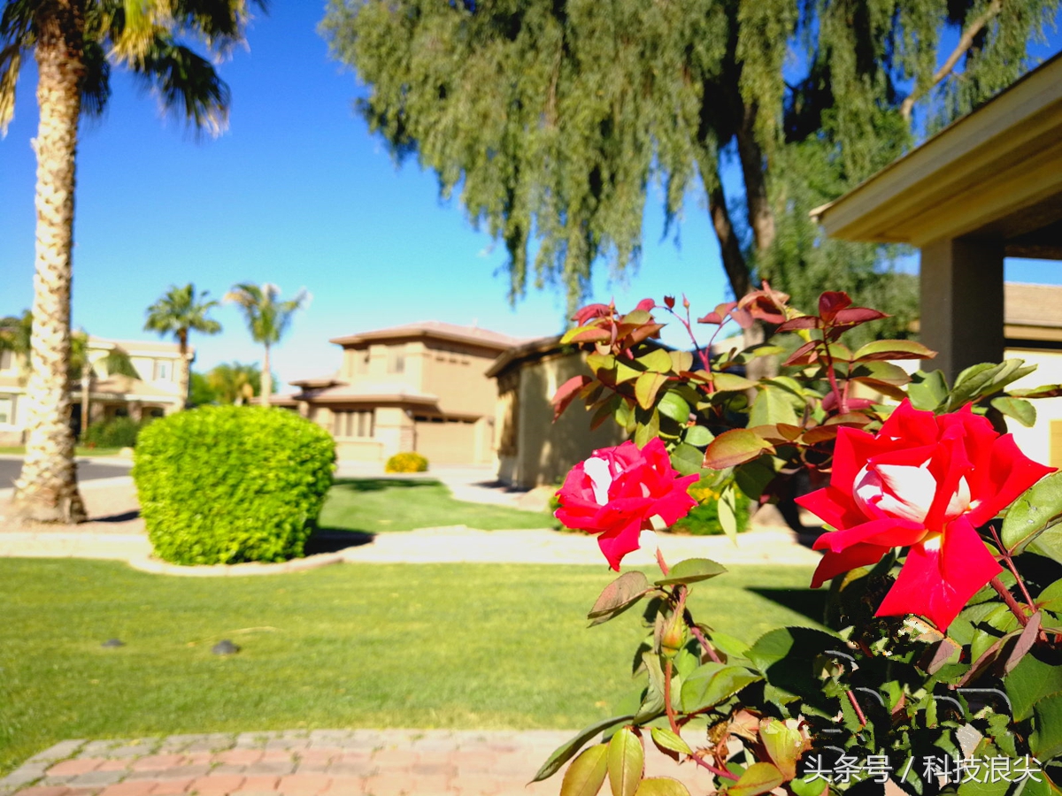 荣耀v9测试分数是多少,荣耀v9测评