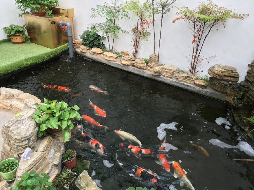 鱼池假山怎么做,假山鱼池怎么做视频