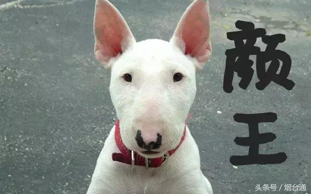 烟台夏天热够了，测测这个夏天你的凉爽指数是多少！