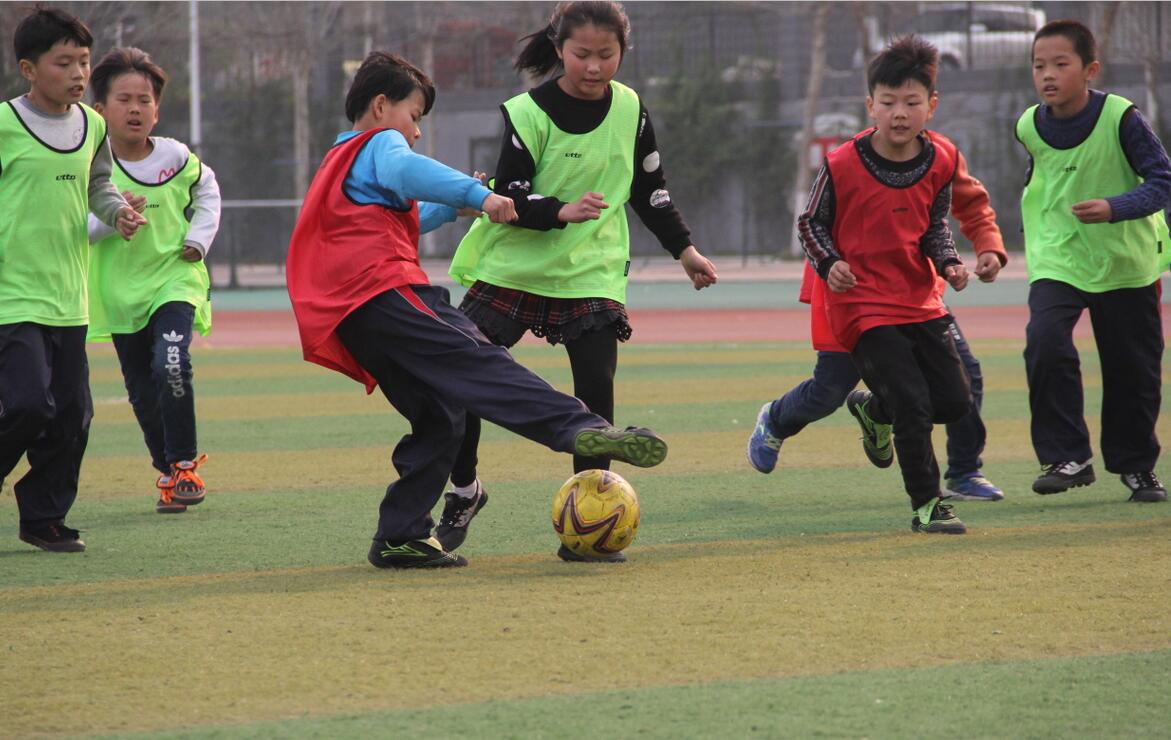 中韩足球比赛回看,中韩足球对抗赛结局