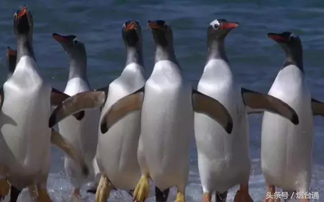 烟台夏天热够了，测测这个夏天你的凉爽指数是多少！