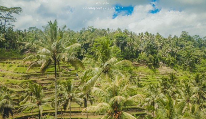 巴厘岛自由行5日游,巴厘岛天堂之旅