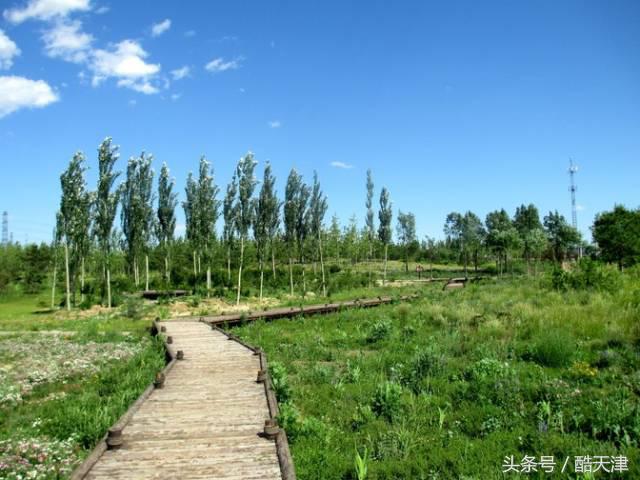 京津周边游玩景点推荐,京津冀附近人少风景好的旅游胜地