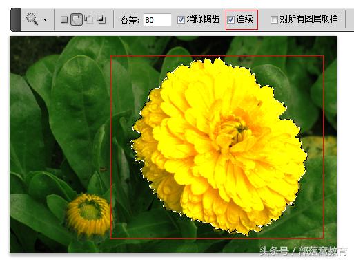 ps魔棒抠图最快又完整的方法,ps魔棒抠图如何增减和删减