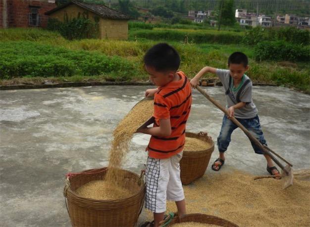 小时候是农村的来瞧瞧，你干过几样？