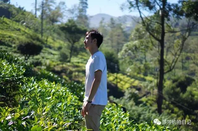 斯里兰卡旅游线路图高清,斯里兰卡自由行旅游攻略