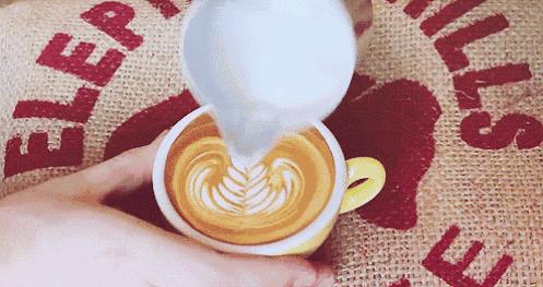 传说中的奶茶,传说中的金箔咖啡