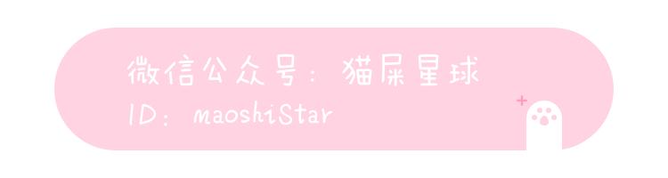 种草品牌的包包,种草最好的小众包