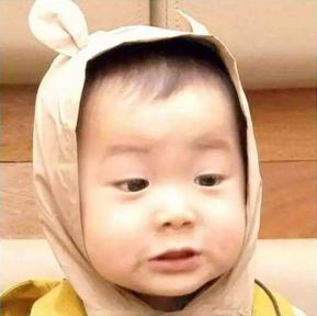 王思聪豆得儿领证了吗,思聪豆得儿照片