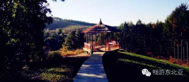 辽源赏花的地方,辽源最佳观花位置