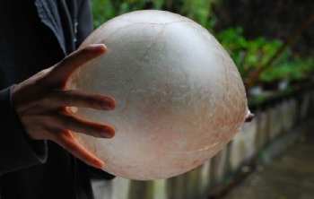 农村小孩玩过的玩具,旧社会农村孩子的玩具