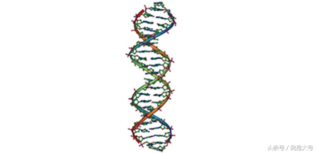 植物转基因技术流程,转基因技术的迅猛发展