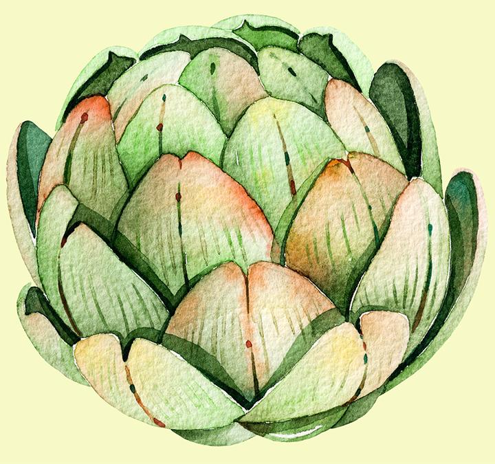 多肉植物如何防治病害,多肉植物病害处理视频