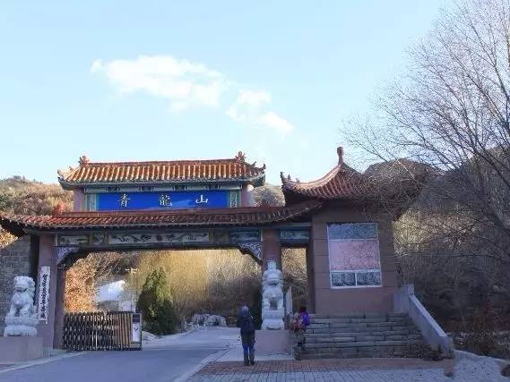 鲅鱼圈附近哪里可以挖野菜,盖州鲅鱼圈挖野菜