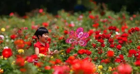 济南春游的好地方推荐,济南适合春游的地方