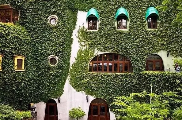 五一假期值得你来的地方,推荐你去看的动漫