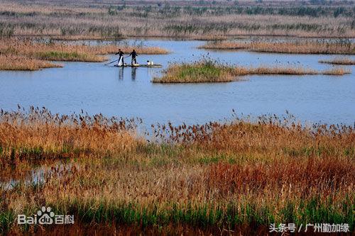 全国百强县排名玉环,玉环市2023年百强县排名