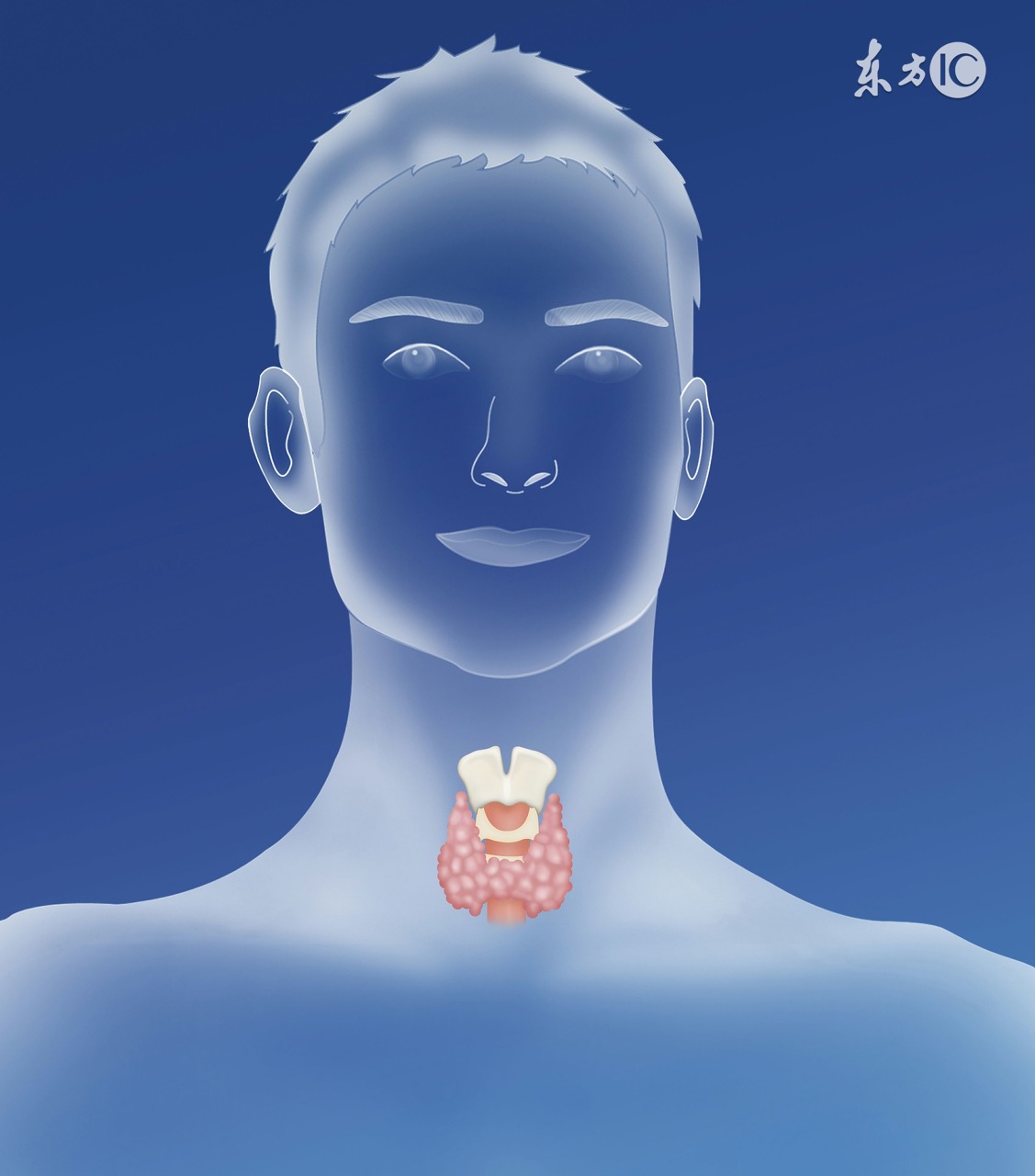 治疗甲状腺结节的最好办法,黄药子治疗甲状腺结节用法