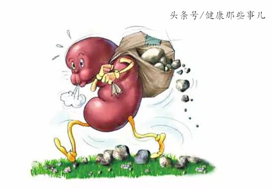 慢性肾衰竭贫血的最主要原因是,急性肾衰竭会严重贫血吗