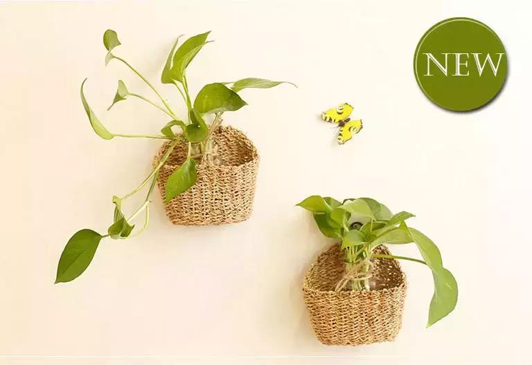 好看又实用全屋装修,卫生间墙面颜色太深怎么装饰好看