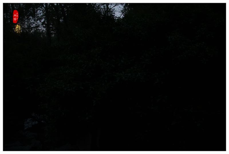 不止于斯-奈特科尔MT06MDEDC手电